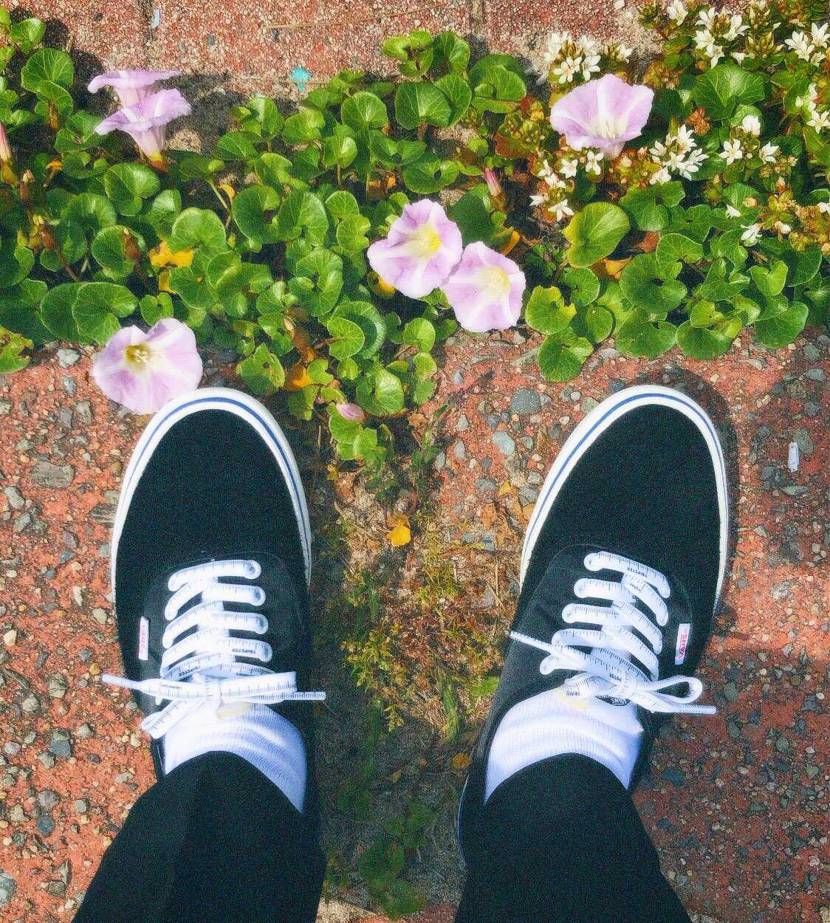 Vans✖️トリップスター履き心地良すぎてもう一足欲しい😋