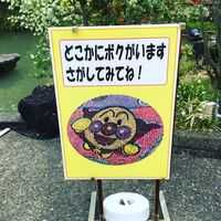 kuma