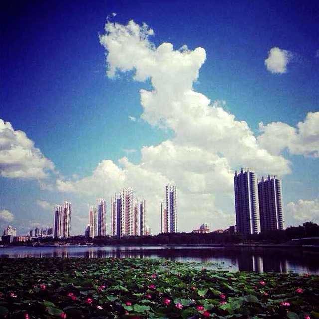 ユーザーアイコン