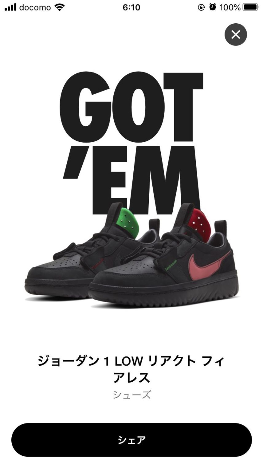 26cm🐿