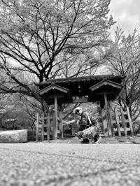 Giri indrawan