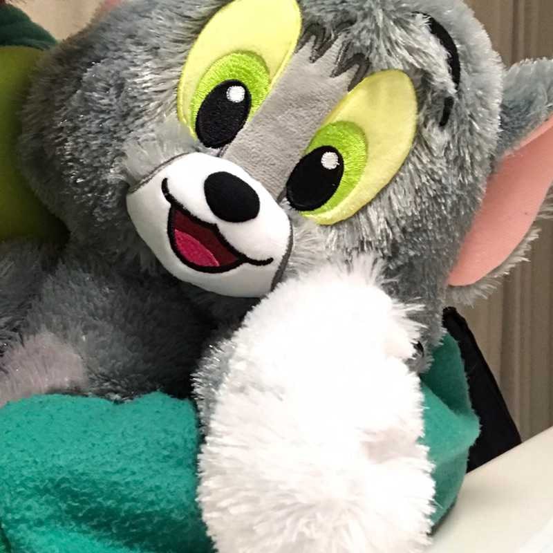 しらだい