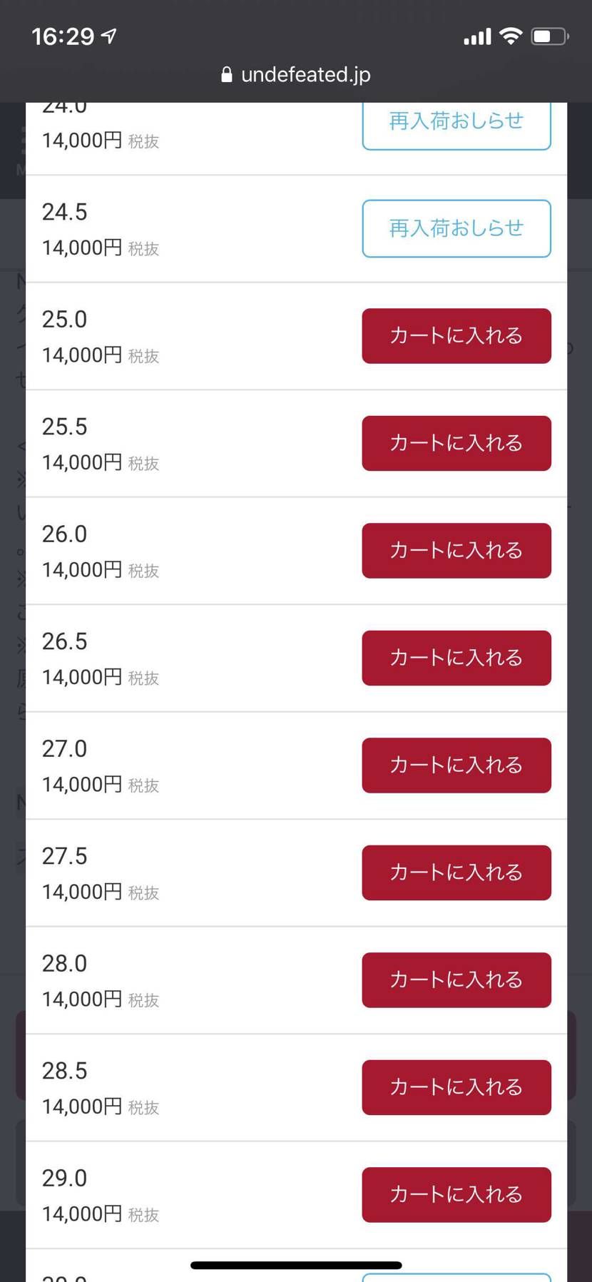 アンディも在庫ありますよー✨👟