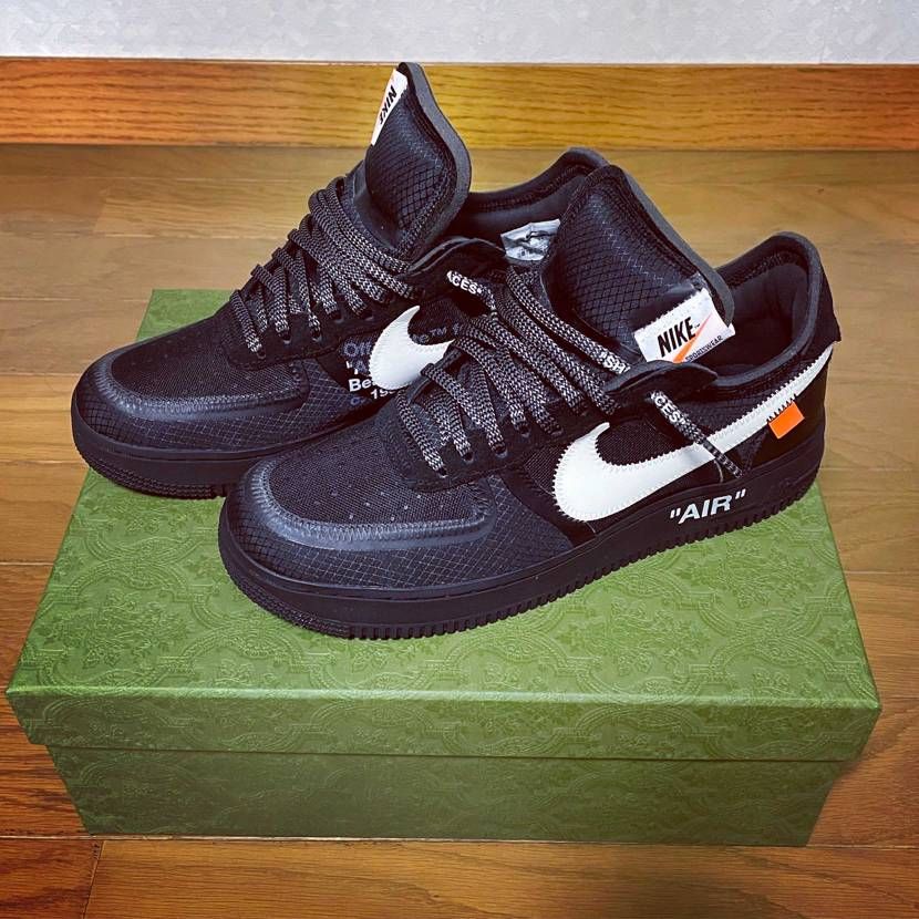 カステラです🐿