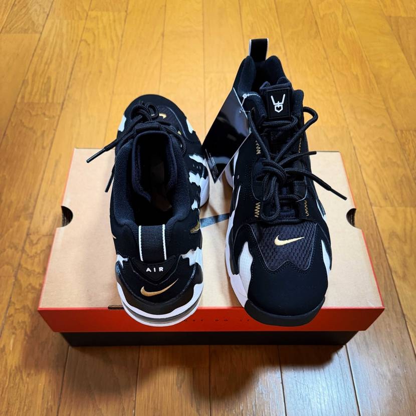 まぁくそかっけええな！！

Nike Air DT Ma