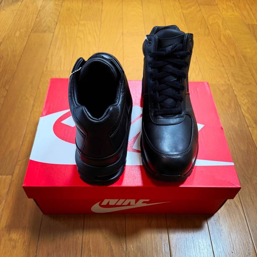Nike Air Max Goadome Black GOT
