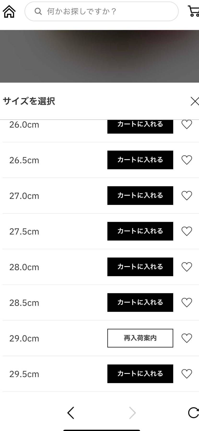 一次での購入希望の方、atmosさん今見たら再び24cmから29.5cmの在庫復