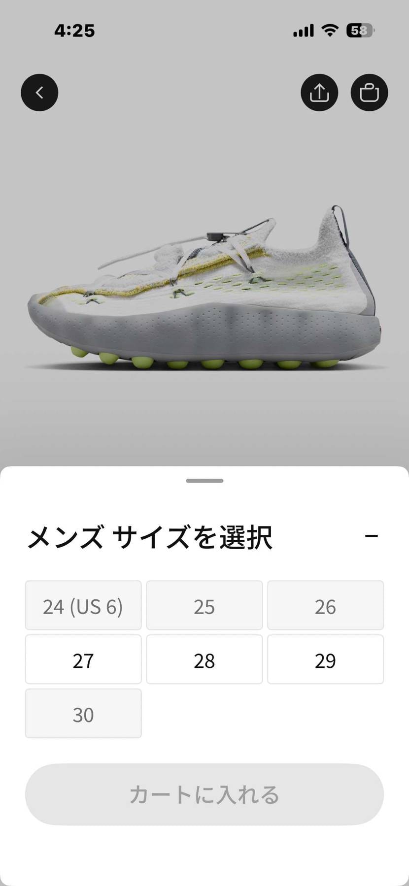 またまた🐿️