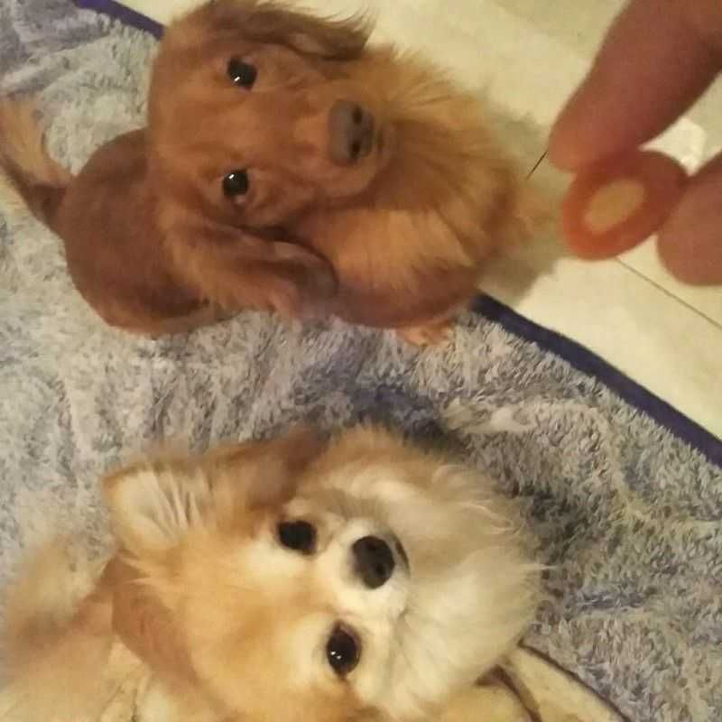 ユーザーアイコン