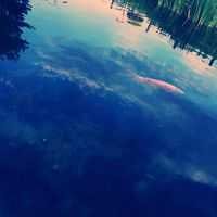 ocean