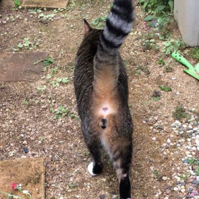 ユーザーアイコン