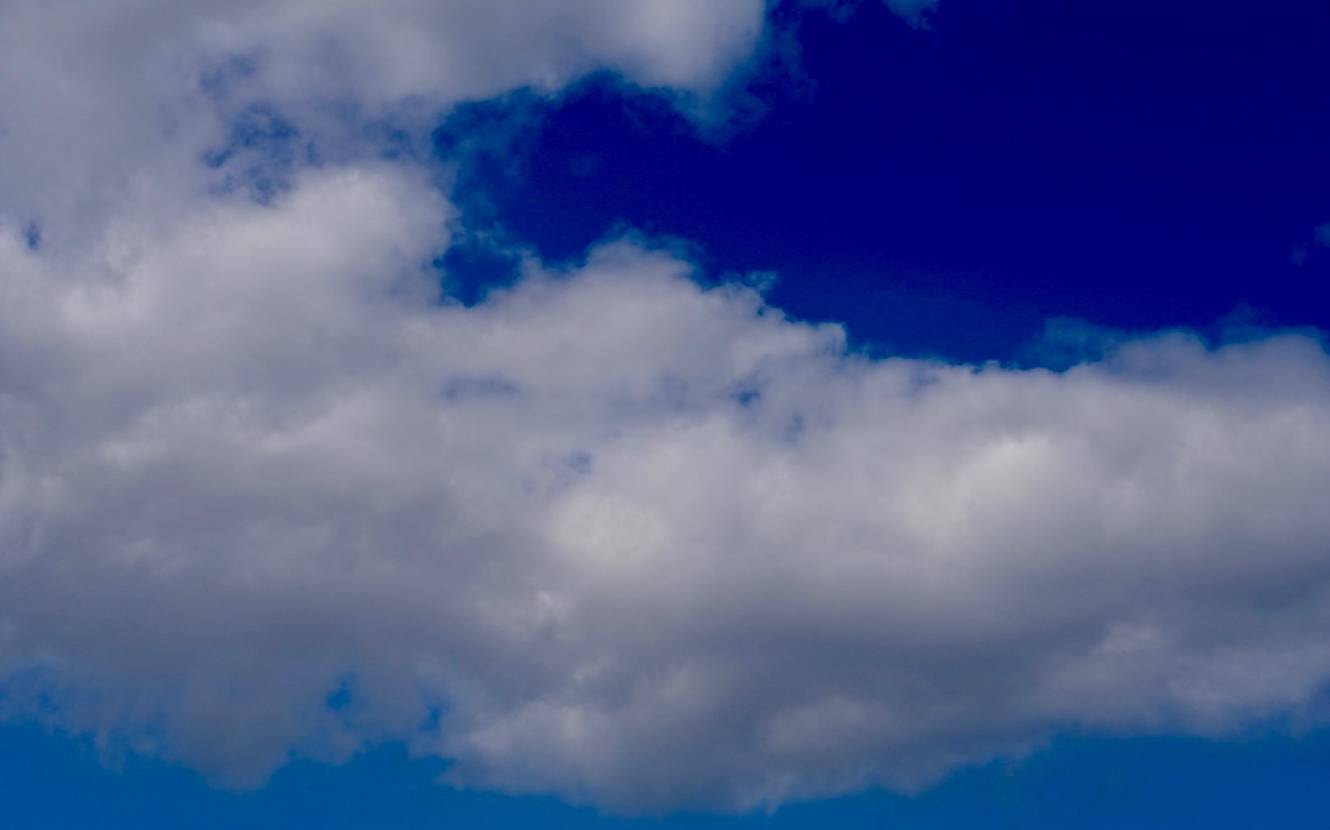 本日は、長女の小学校生活最後の運動会😆
チームカラーの赤い