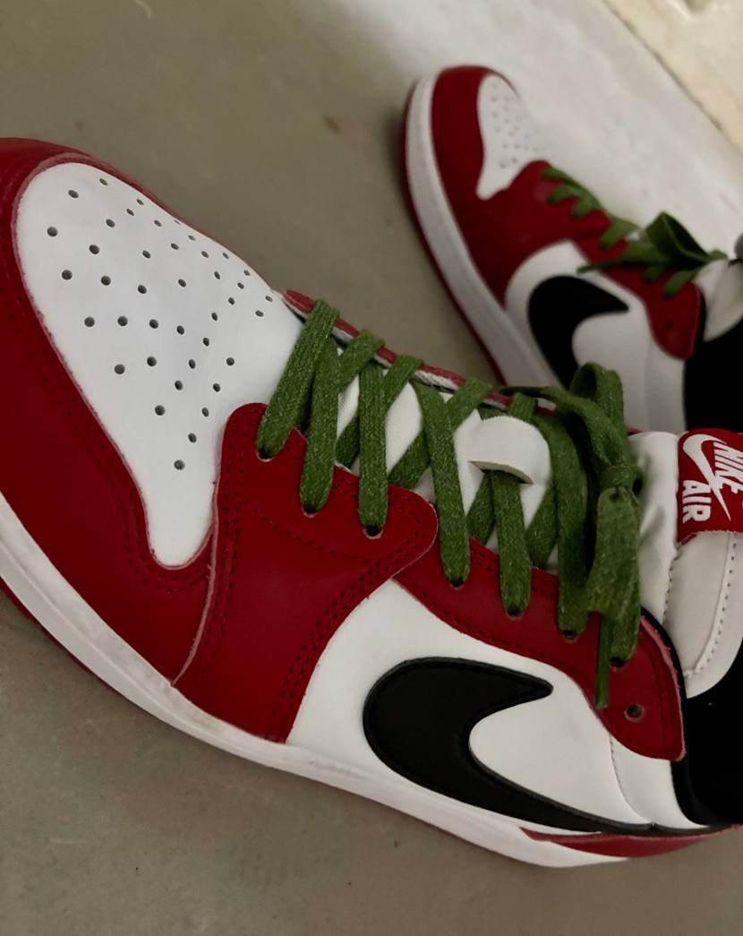 こちらには、シューレース遊びのプロの方々が沢山居るのでコレも居るかなとおもいまし