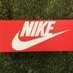pinchhitter5