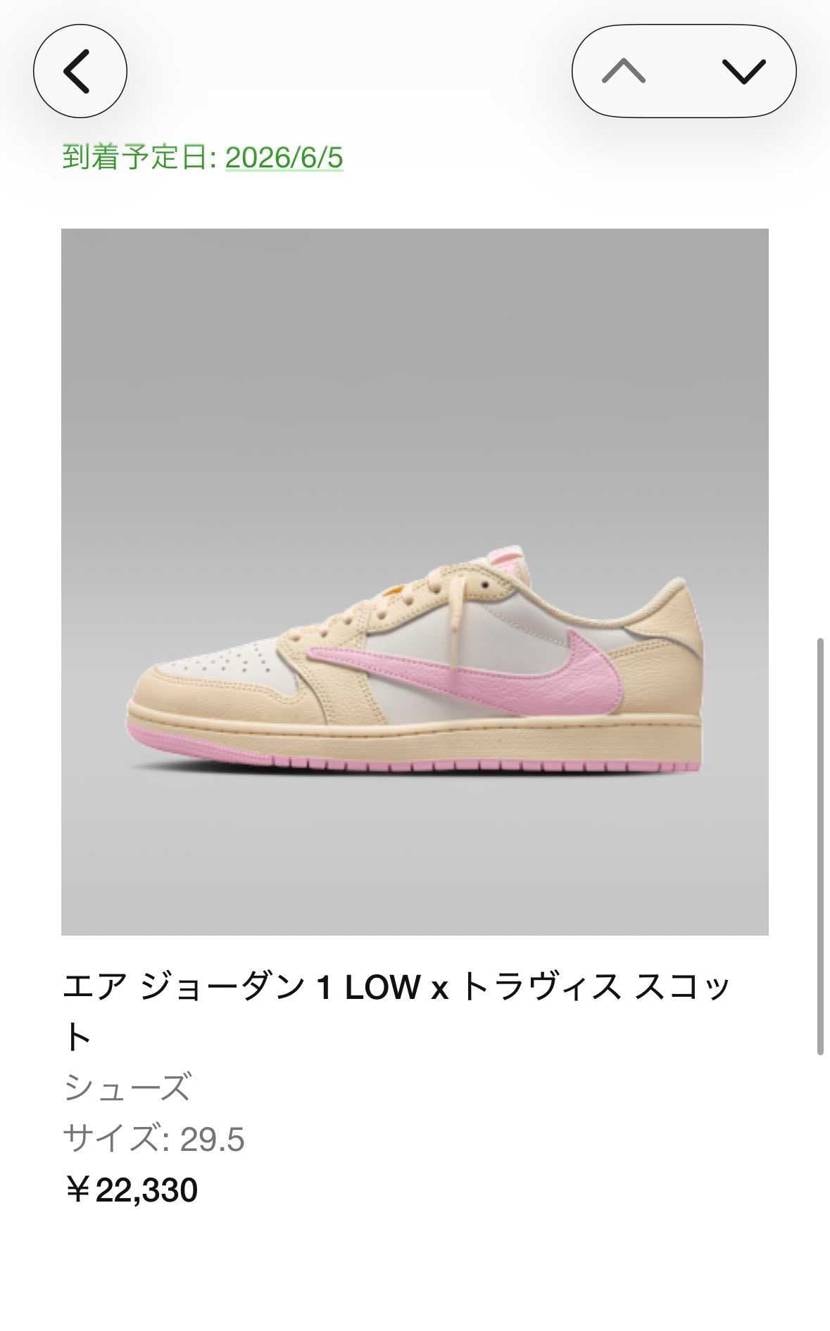 29.5✨
こっちのカラーしか応募してなかったけど、2足ゲ