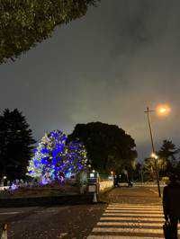 ユーザーアイコン