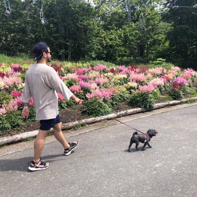 翔太(出品者)