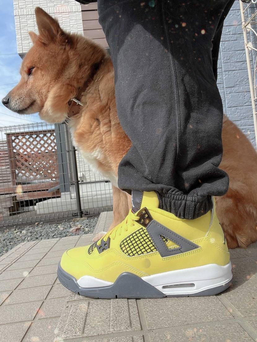 皆さん遅めのあけおめです🌱∴´ ⛩️ `∴🌱

春になる