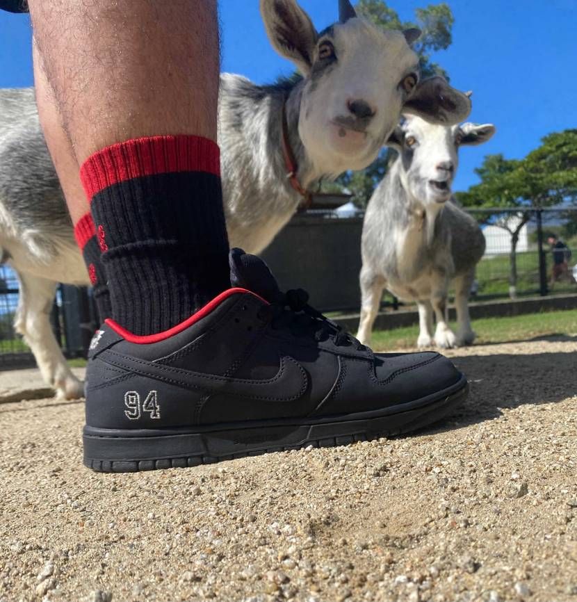 プレ値で買ったシュプダン履いて子供と公園へ🛝
ヤギ🐐に初踏