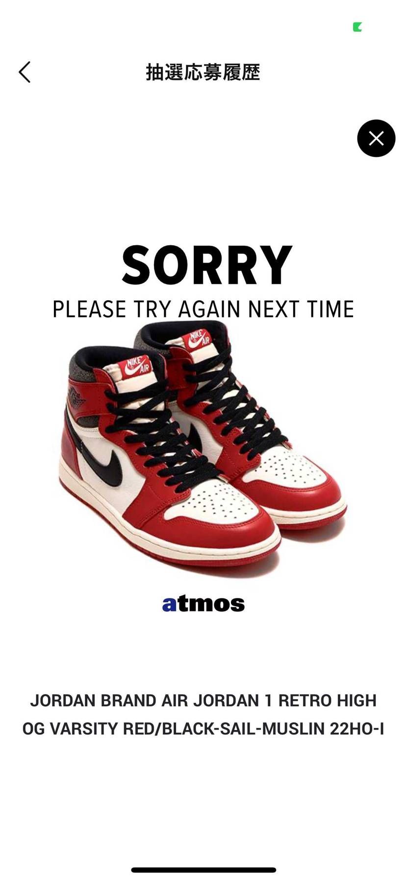 SNKRSで無事サイレントGOT'EM
画面見れなくて残念