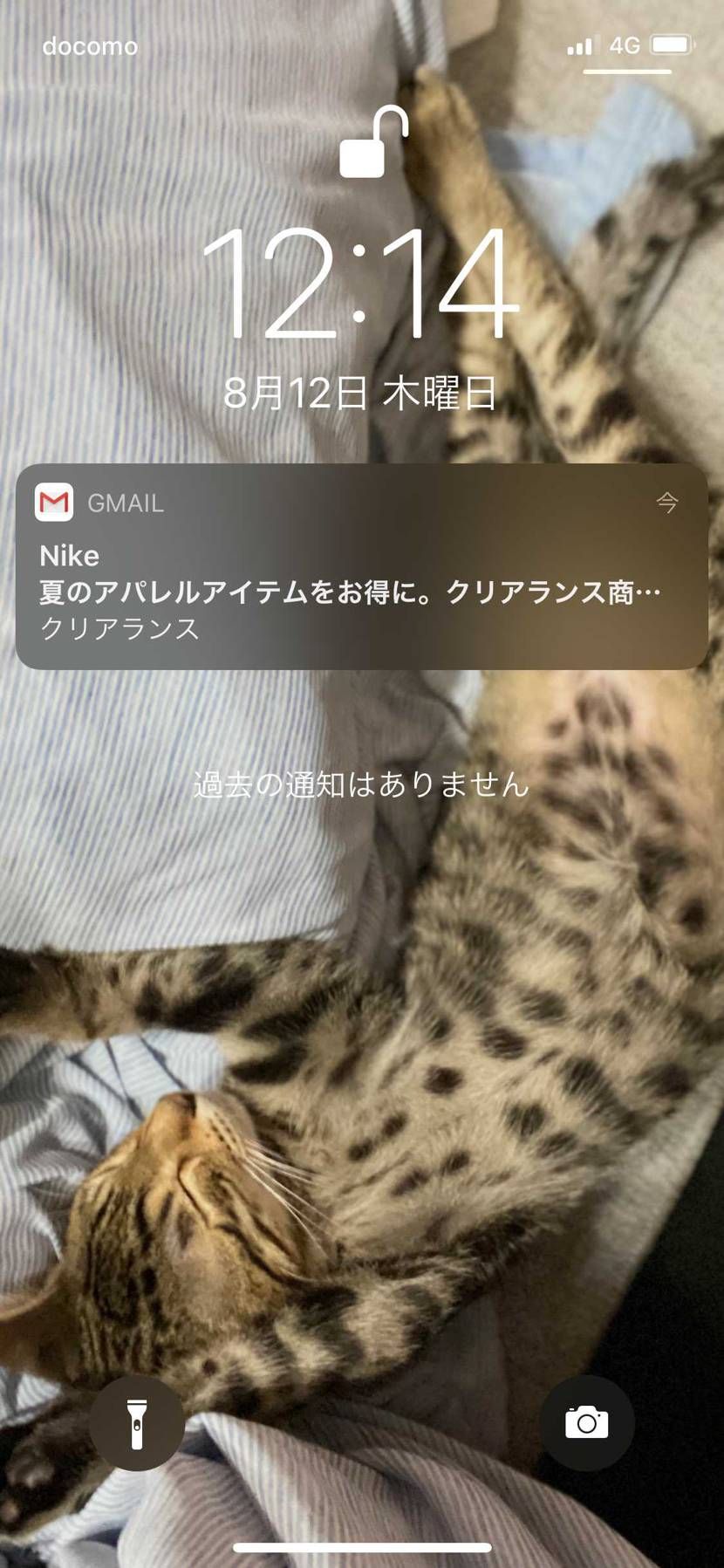 おいNIKEさんよこのタイミングでふざけんなよ(笑)