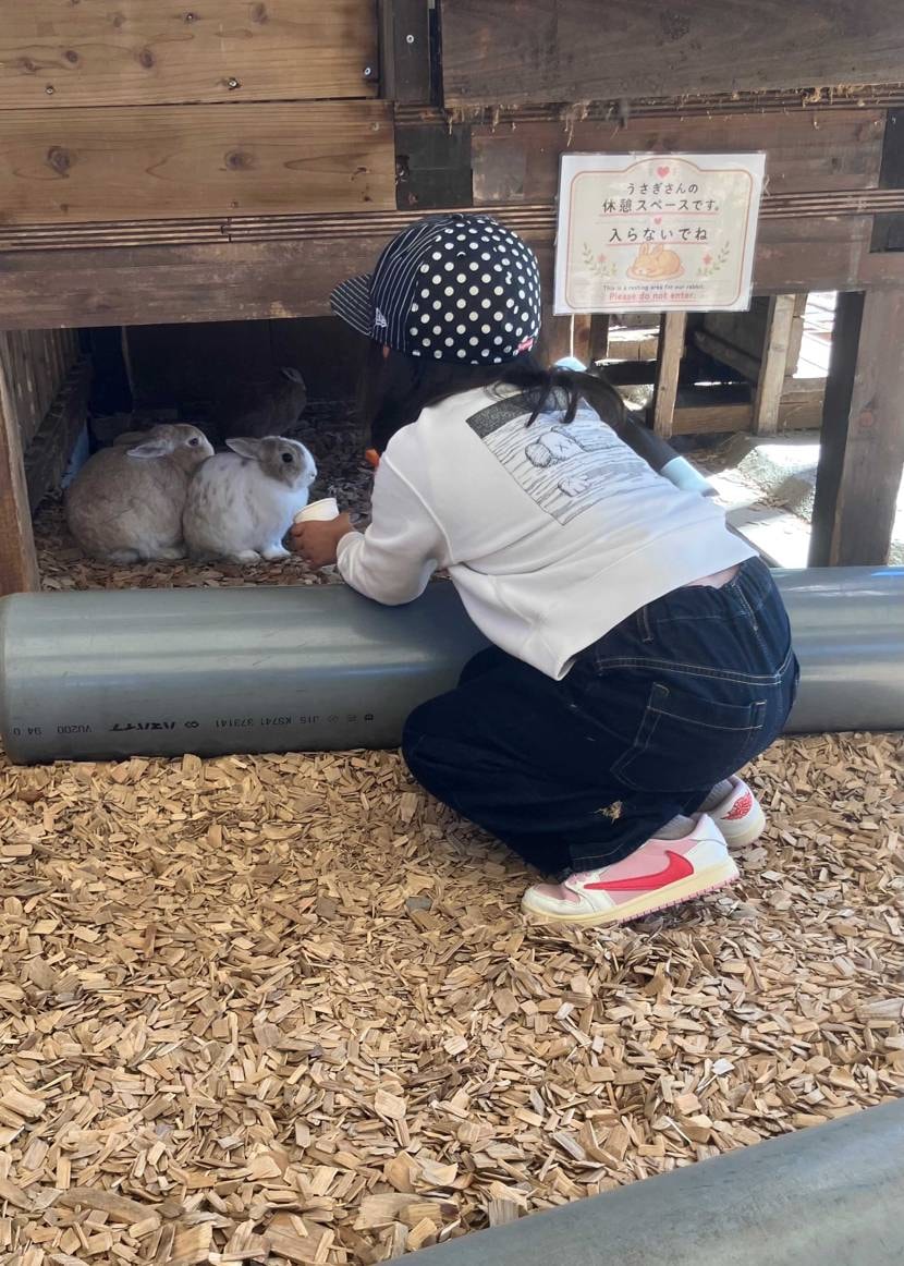 🐵が、もうゴリラの餌やりは飽きた！と言うのでうさぎの餌やり体