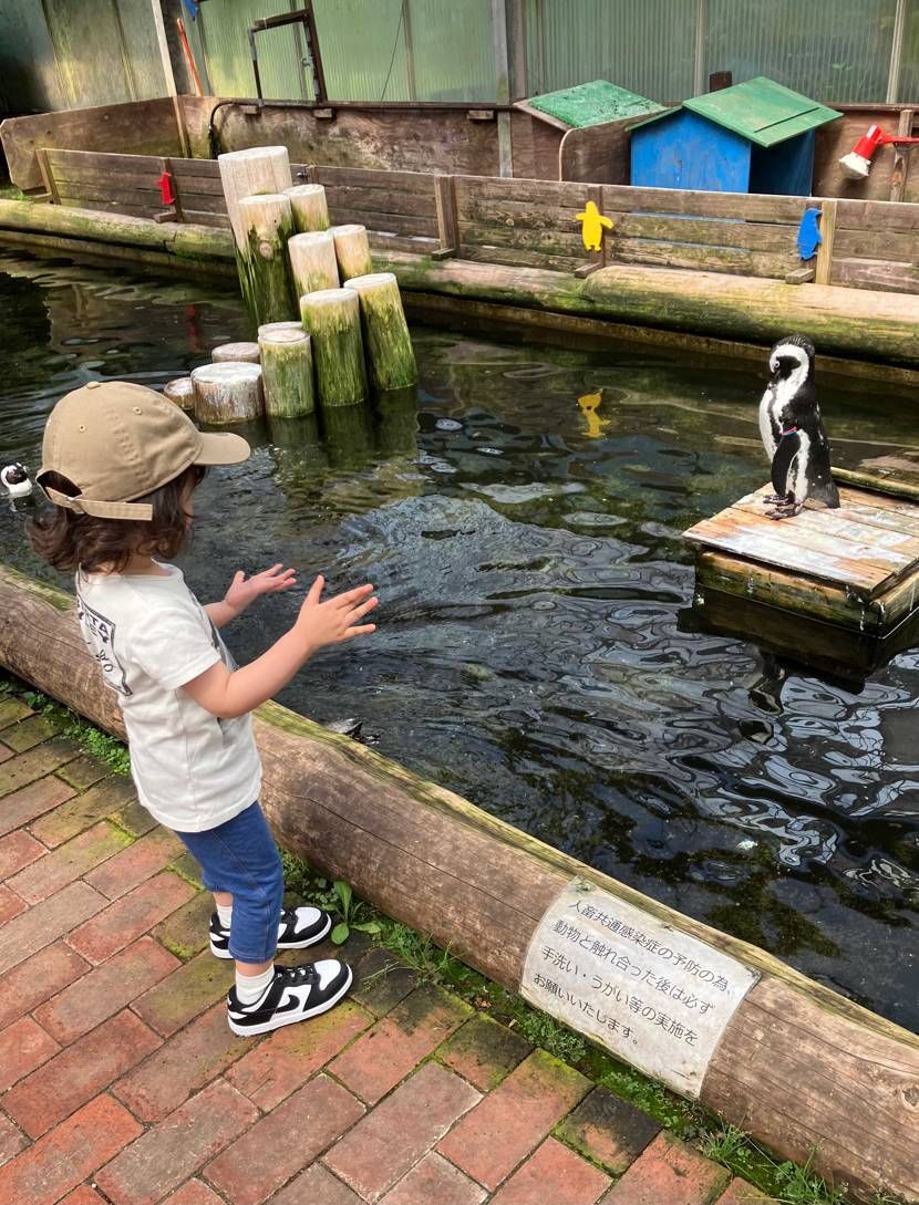 ペンギンダンク