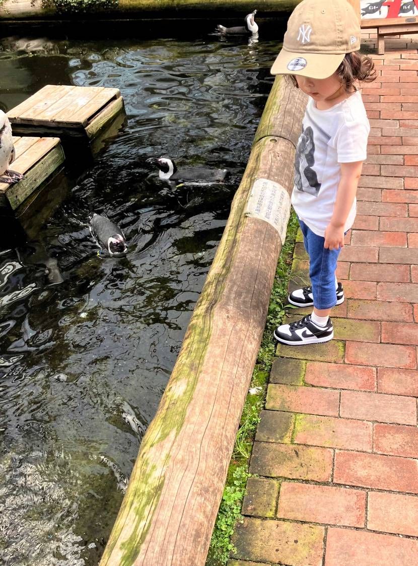 ペンギンダンク