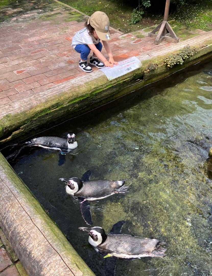 ペンギンダンク