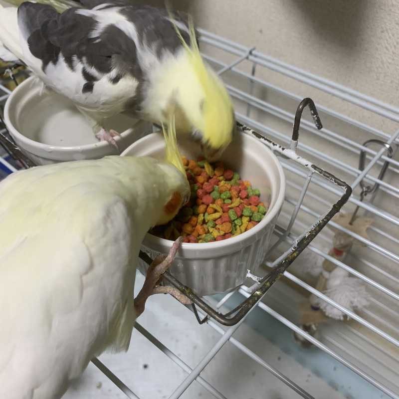 地獄のポテト男