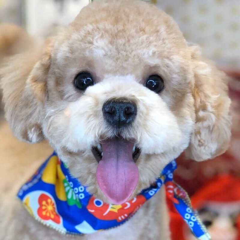 yuito