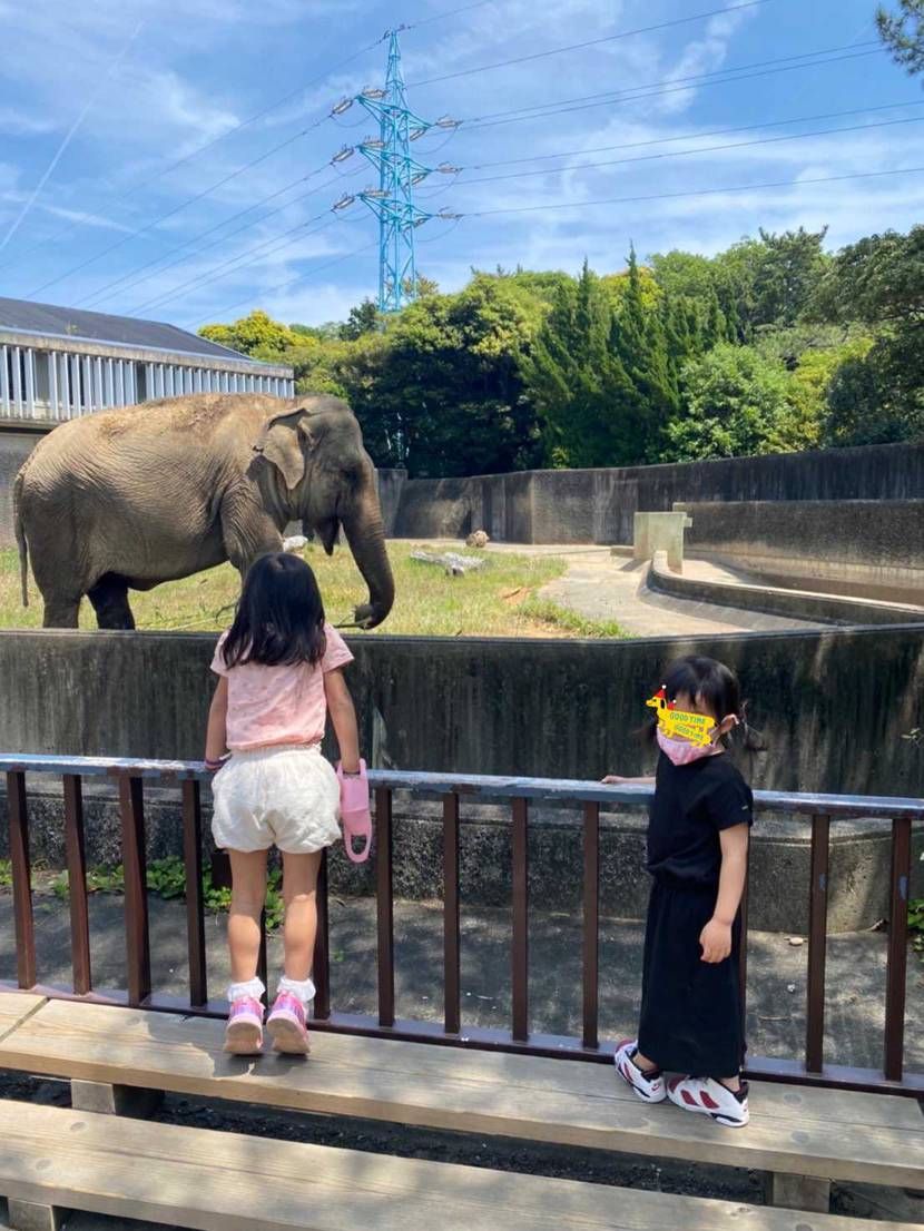 天気よかったー
久々の外出であがりました