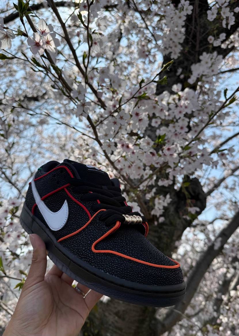 こんにちは〜👋
3月も早くも終盤に差し掛かっていると桜が咲