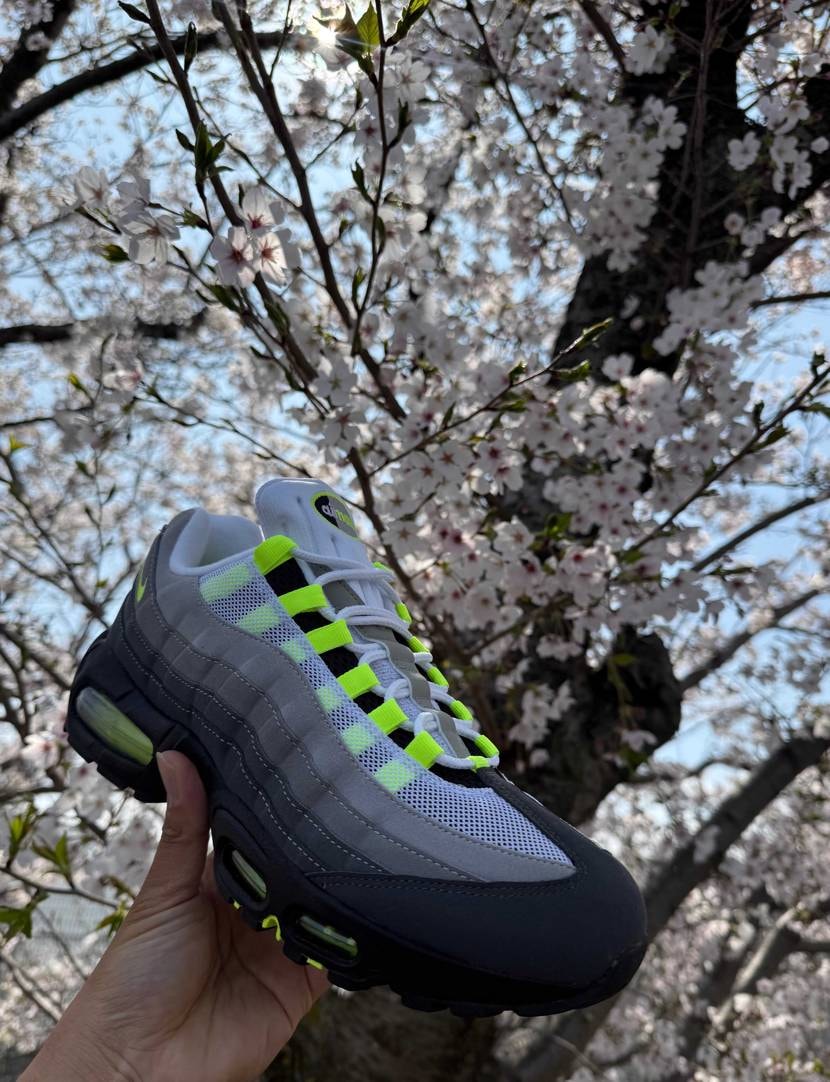 こんにちは〜👋
3月も早くも終盤に差し掛かっていると桜が咲