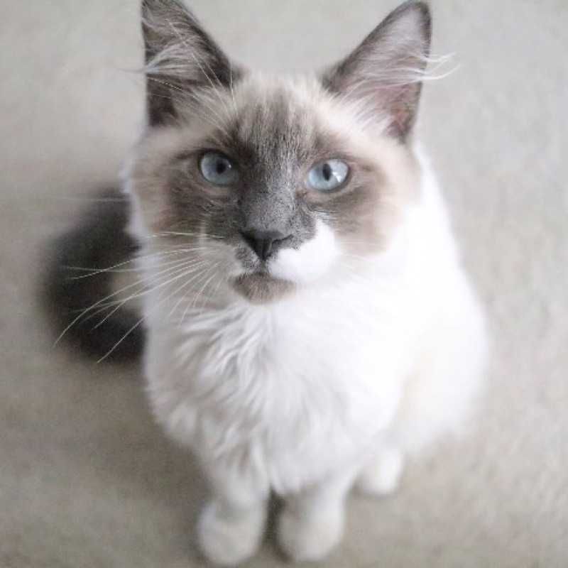 ユーザーアイコン