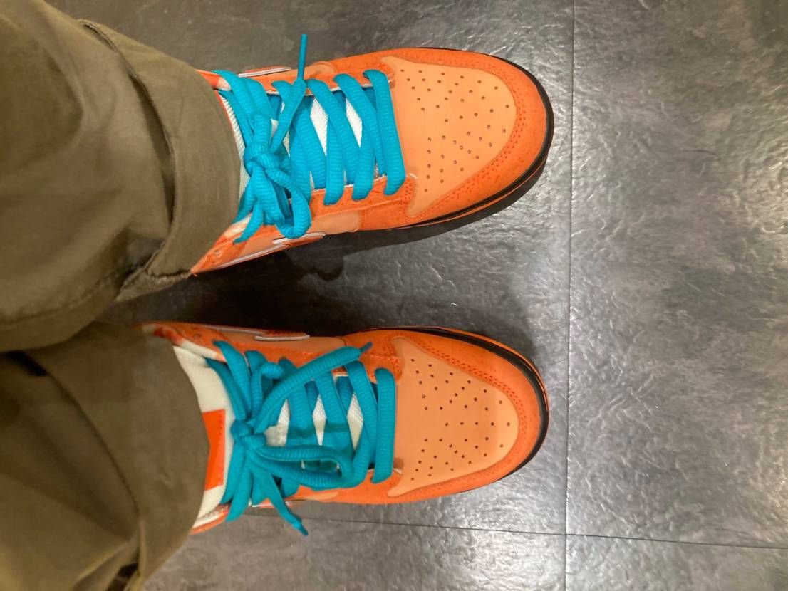 🍊🦞と🟣ガム🔥