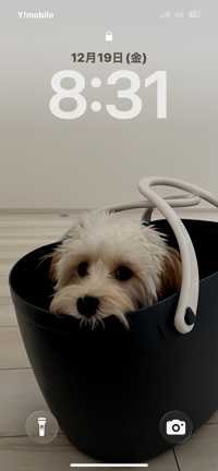 ユーザーアイコン