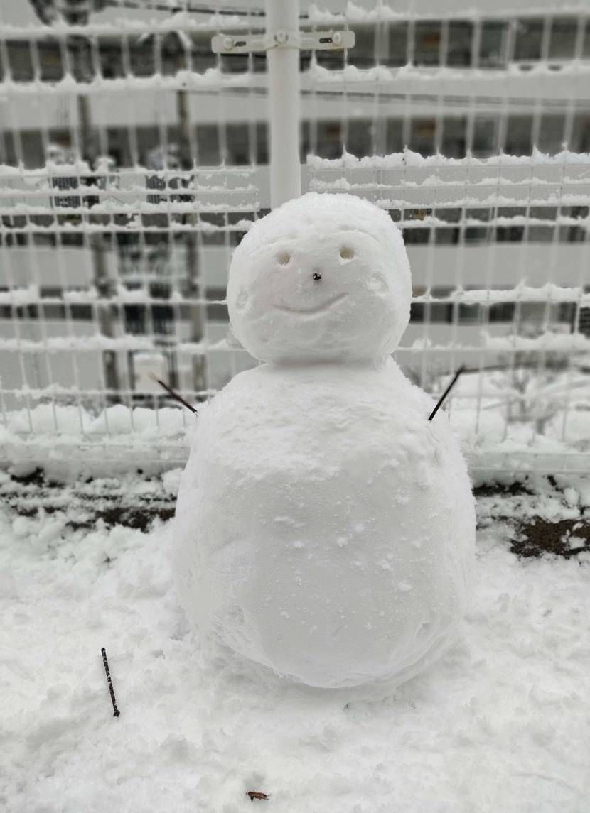 こちら九州、大雪でございます。
そんな雪の日にピッタリのこの