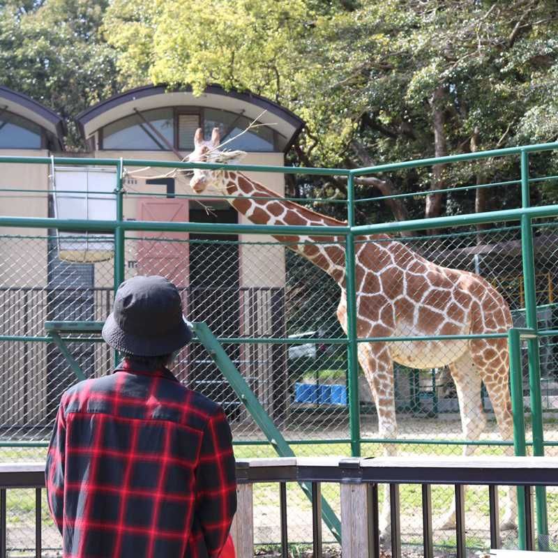 のん