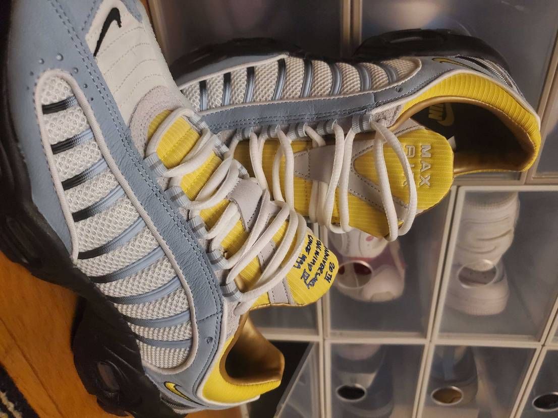 ニューメンバー