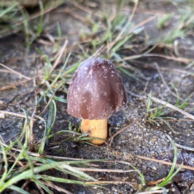 ユーザーアイコン