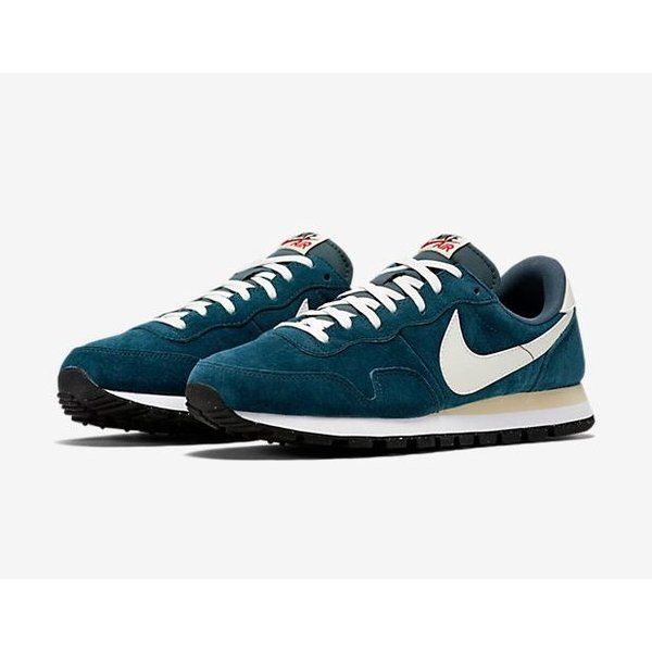 先週どなたかが投稿してて一目惚れした
Air Pegasus 83の30周年復