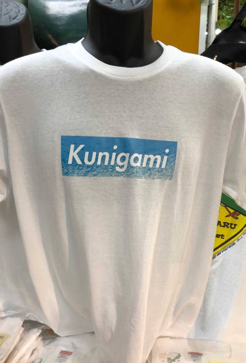 Box logo kunigami blue