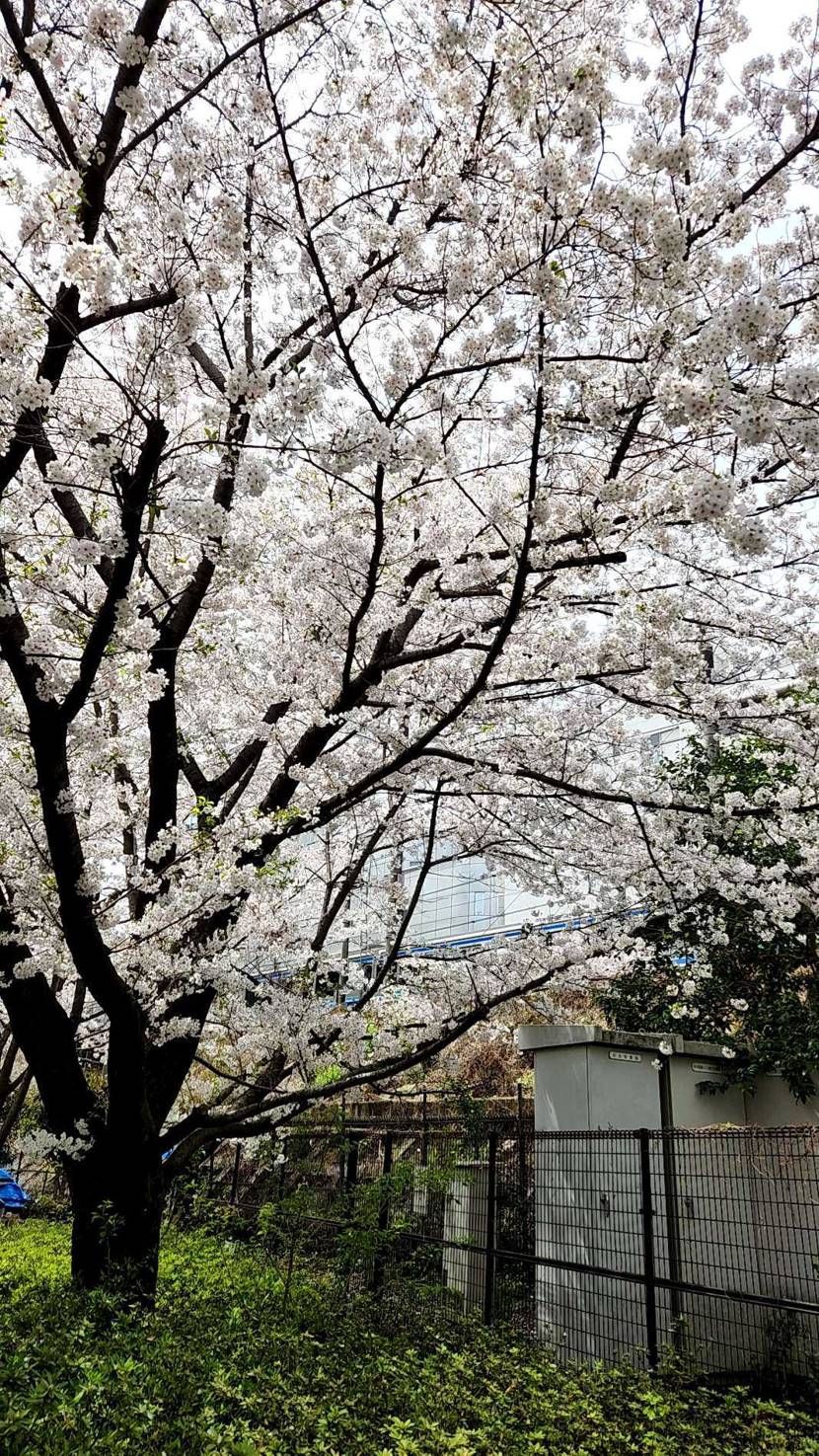 昨日、ターミネーター初履き🔥　昨日、ここに誰がいるかな〜と思