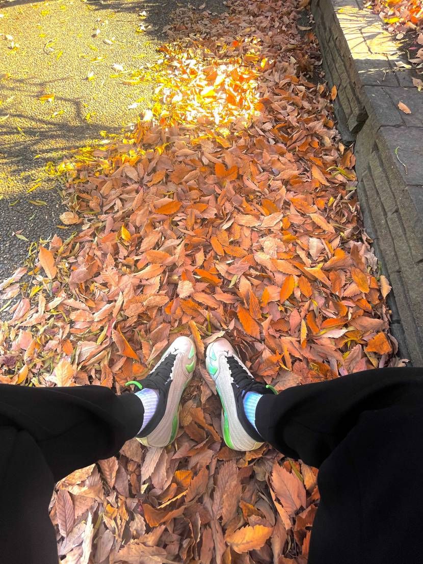 sneakerhead jordan 14🔥🔥🔥 i like sneaker