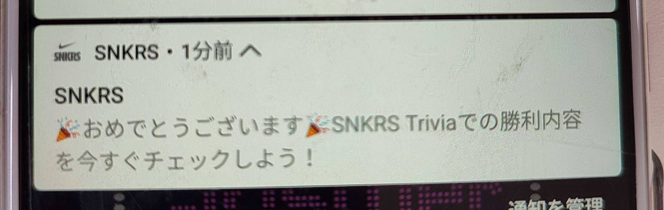 どっちがええかアンケート待てど暮らせど全然こないんやが誤報？5周年はひっそり終わ