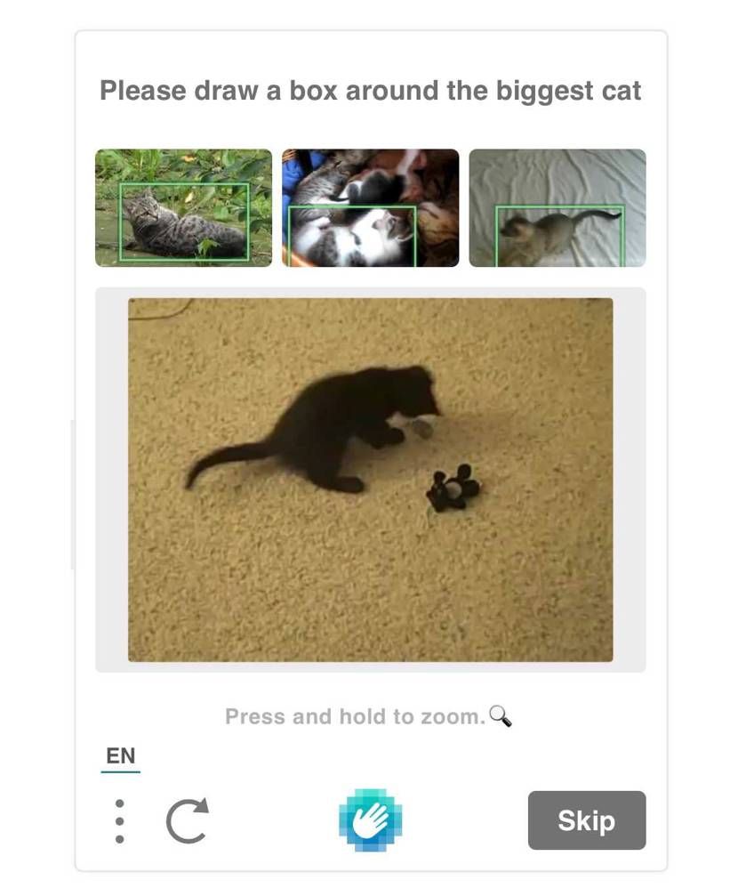 この種類のキャプチャくそむずくないですか？！