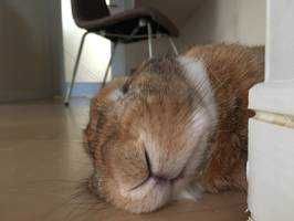 ユーザーアイコン