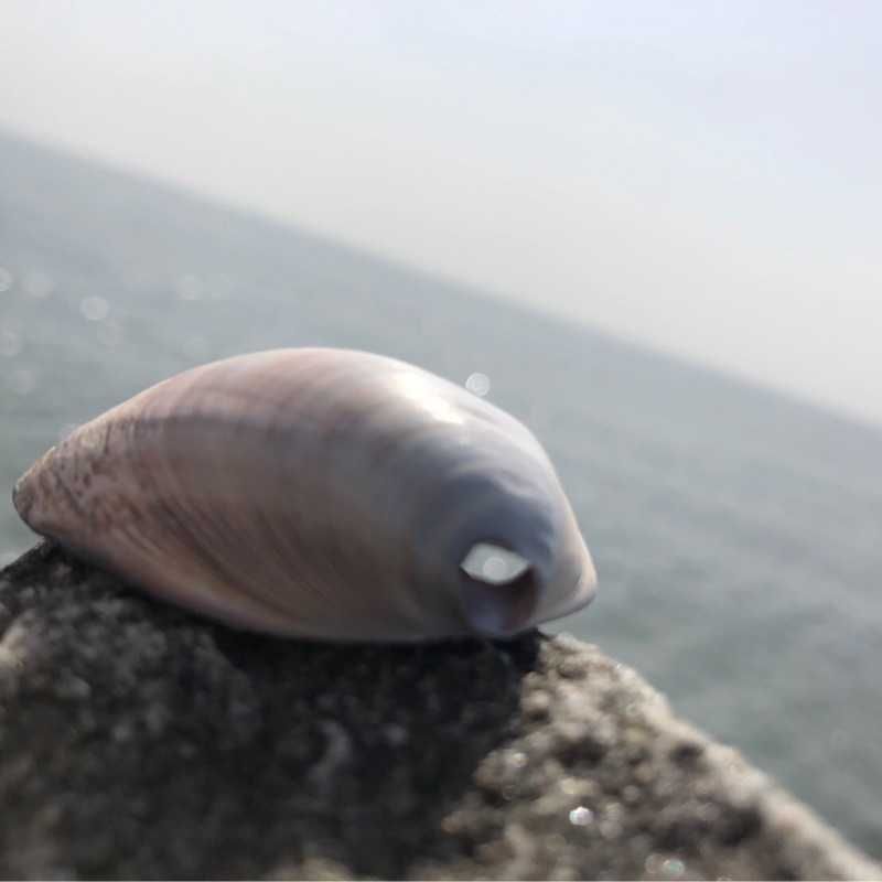 のぼ