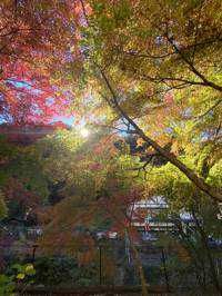 魁 松居(出品者)
